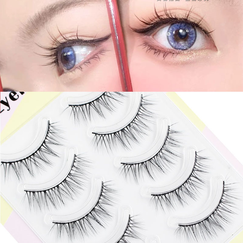 새로운 속눈썹 연장 가짜 속눈썹 5 쌍 3D 일본과 한 - Eyelash Extension Japan 리뷰 및 가격